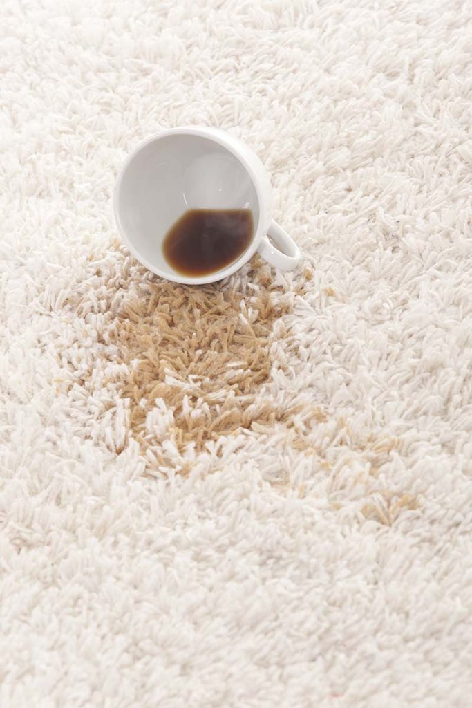 rug cleaning melbourne