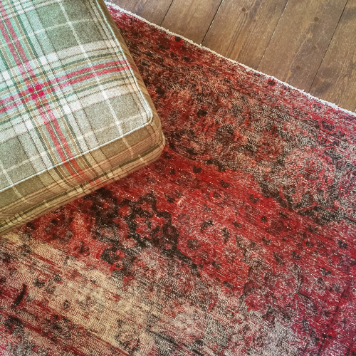 rug care