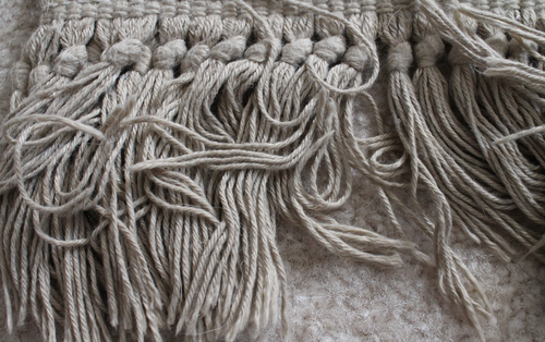 rug cleaning dry rot mould