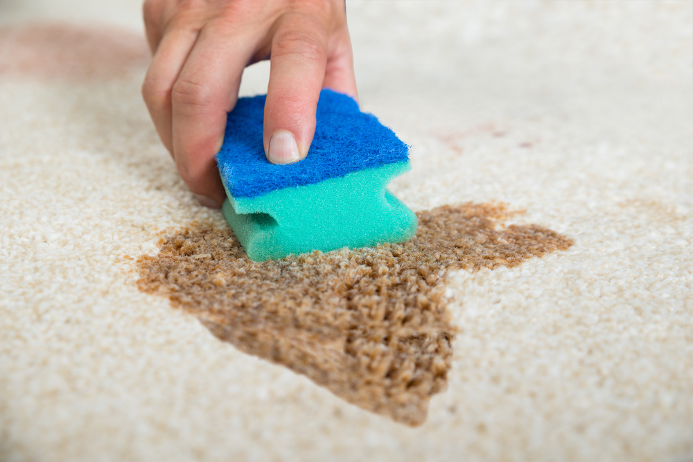 rug care