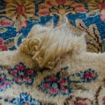 rug care