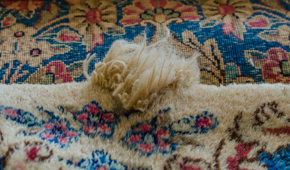 rug care
