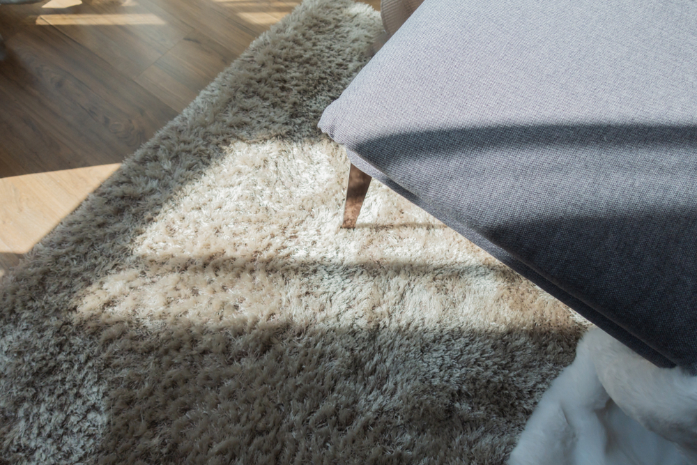 Choosing the Right Rug for Your Home